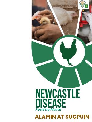 New Castle Disease (Peste ng Manok) .